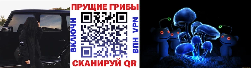 Галлюциногенные грибы Psilocybine cubensis  сколько стоит  Тимашёвск 